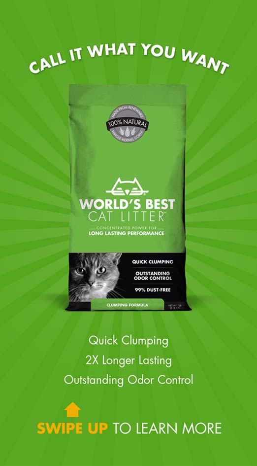 World's Best Cat Litter National Ad Campaign Tiny Bully Tiny Bully