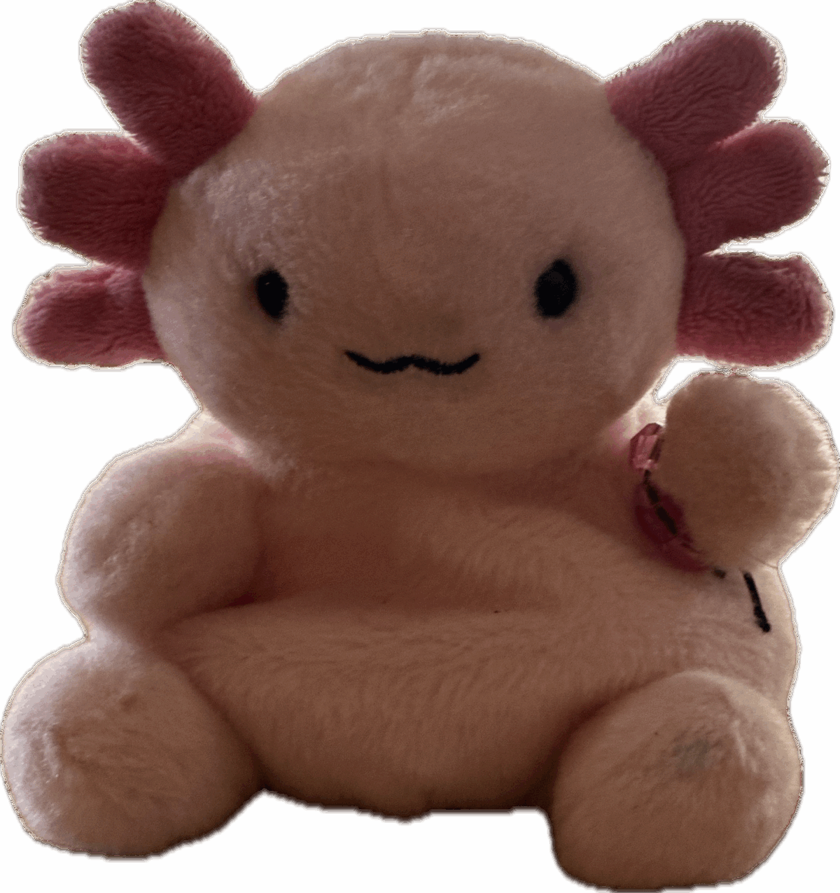 My daughter's stuffed Axolotl 